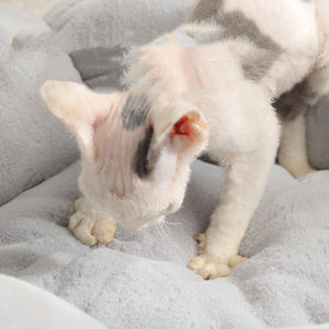 The Perfect Cozy Retreat for Your Furry Friend