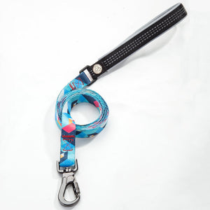 The Ultimate Dog Leash for Every Adventure