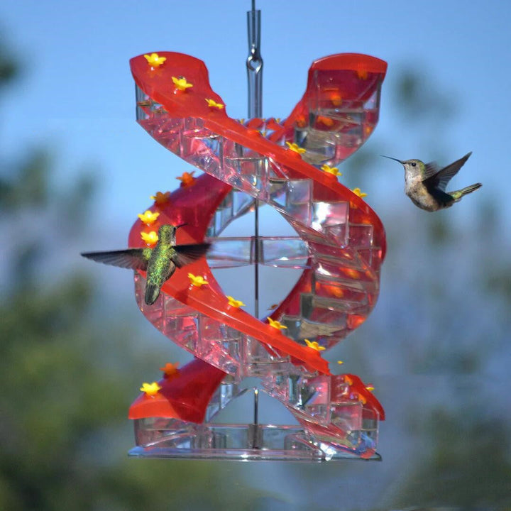 Why Our Climbing Ladder Spiral Hummingbird Feeder is a Must-Have for Bird Lovers