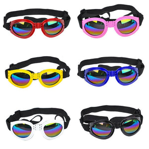 Stylish Sunglasses for Your Furry Friends