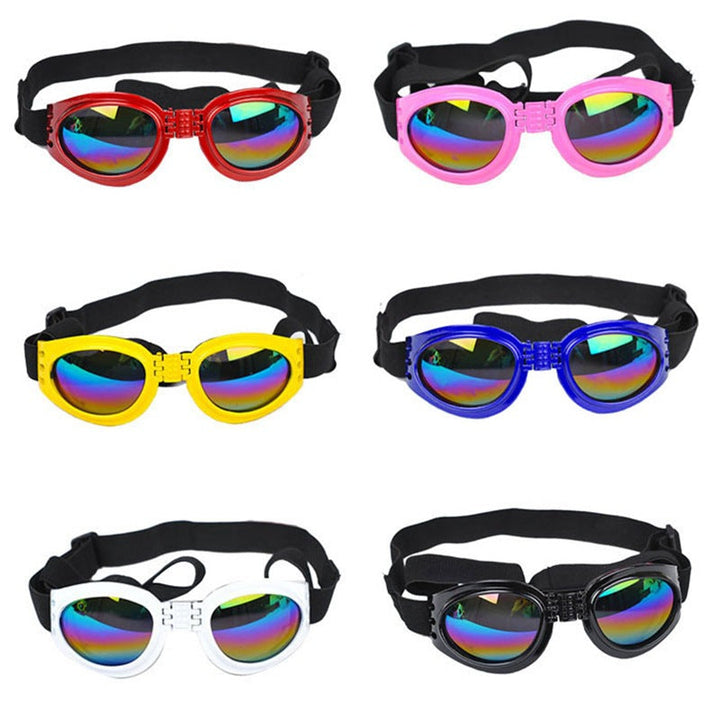 Stylish Sunglasses for Your Furry Friends