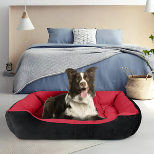 Keeping Your Pet Happy at Home