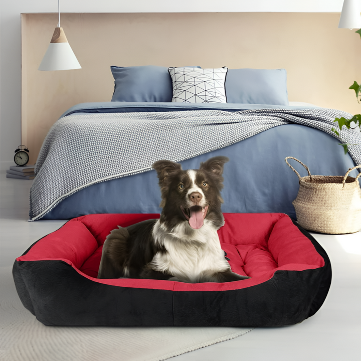 Keeping Your Pet Happy at Home