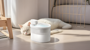 Essential Feeding Supplies for Pets