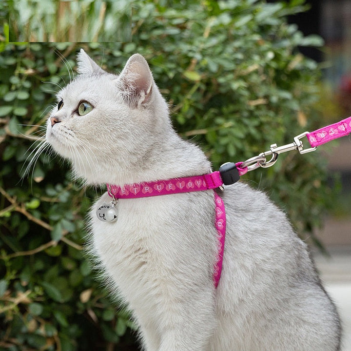 Enhancing Your Cat's Outdoor Experience with the Perfect Leash