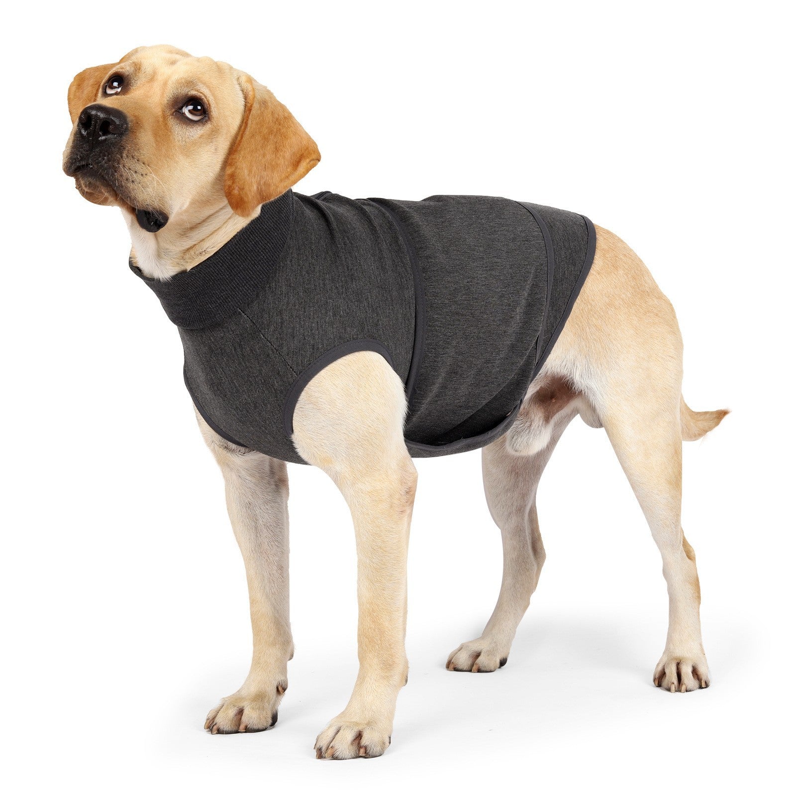 Pet Polyester Emotional Cotton Double Jacket