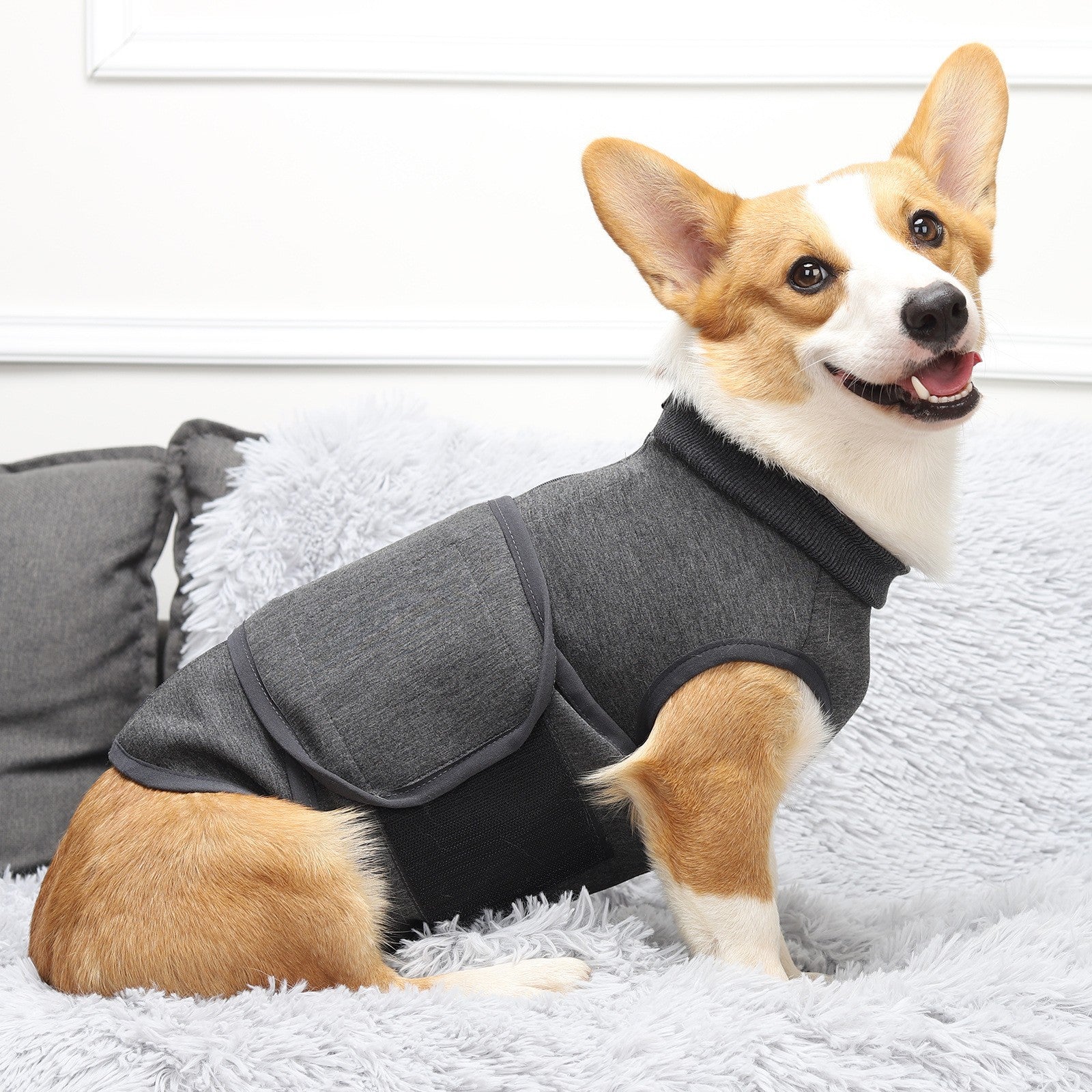 Pet Polyester Emotional Cotton Double Jacket