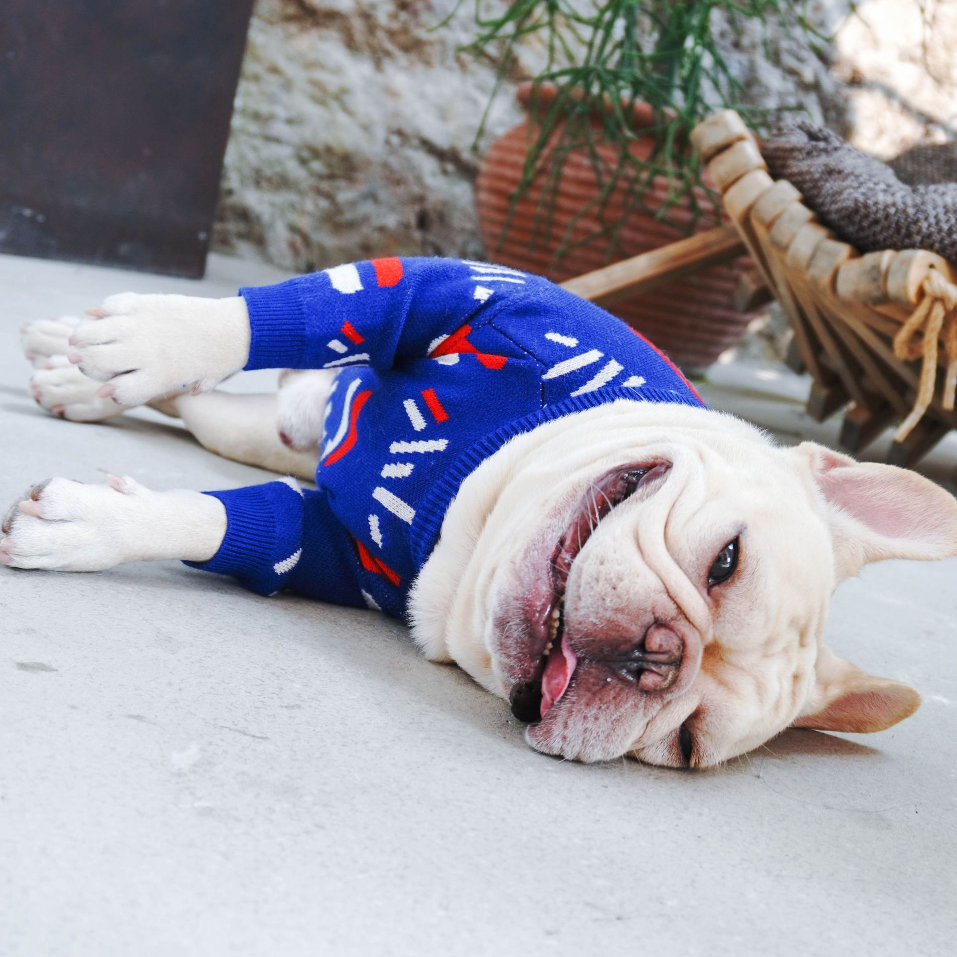 Pug Pet Sweater Dog Clothes