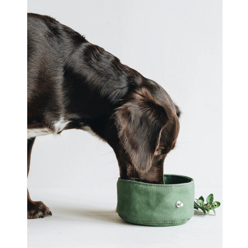 Pet Folding Feeding Bowl