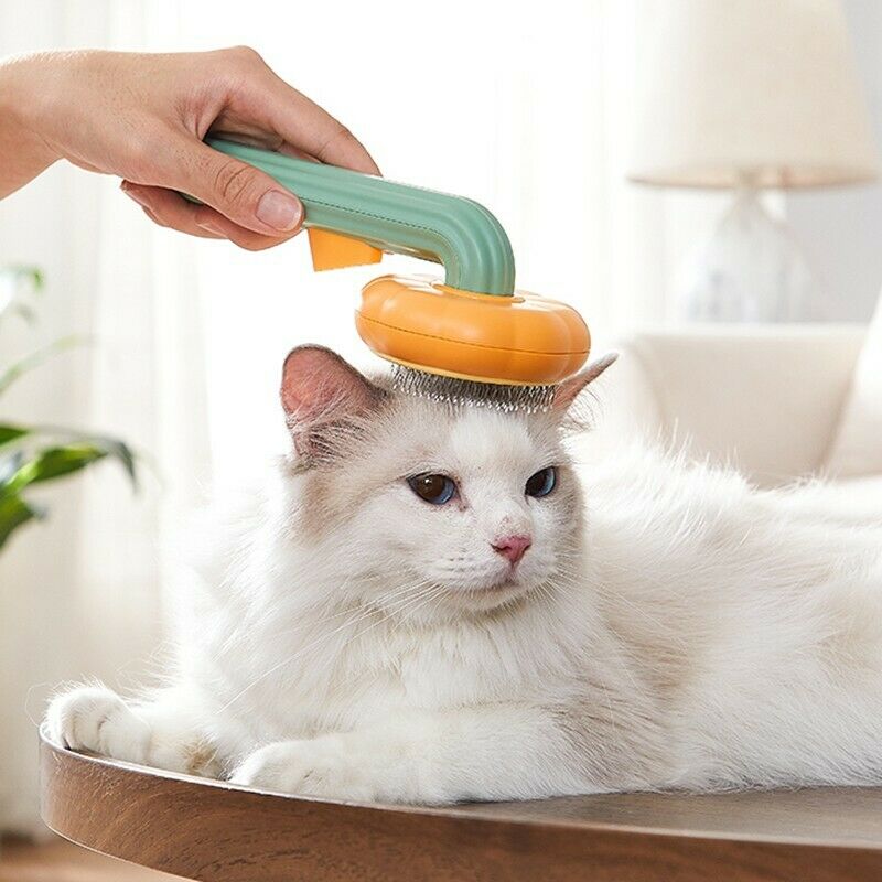 Pet Pumpkin Self Cleaning Slicker Brush