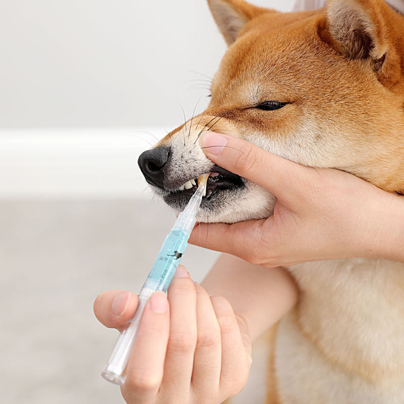 Pet Teeth Repairing Kit For Dog Cat