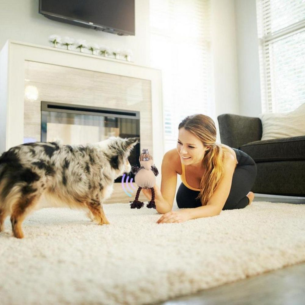 Squeaky Plush Dog Toys