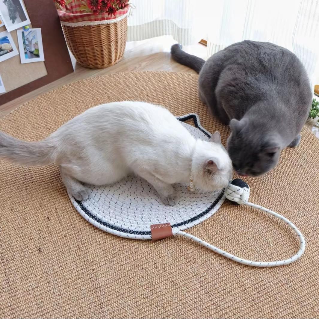 Braided Cotton Rope Cat Claw Mat
