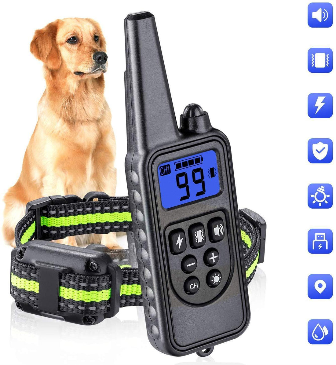 800M Waterproof Dog Training Collar with Remote Control