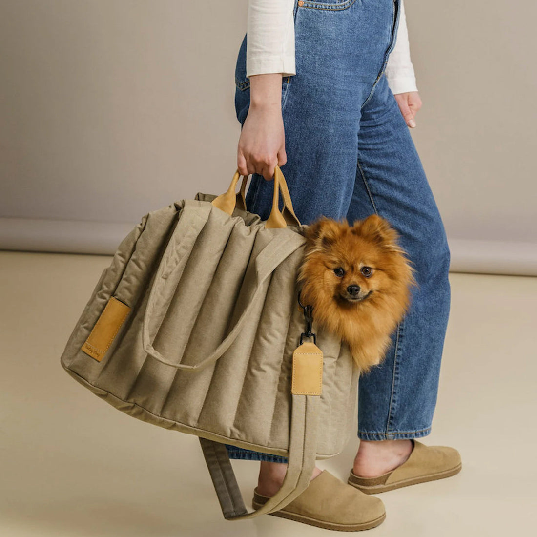 Pet Light Waterproof Carrier
