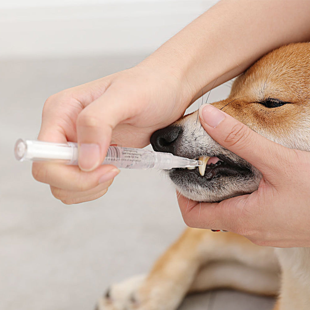 Pet Teeth Repairing Kit For Dog Cat