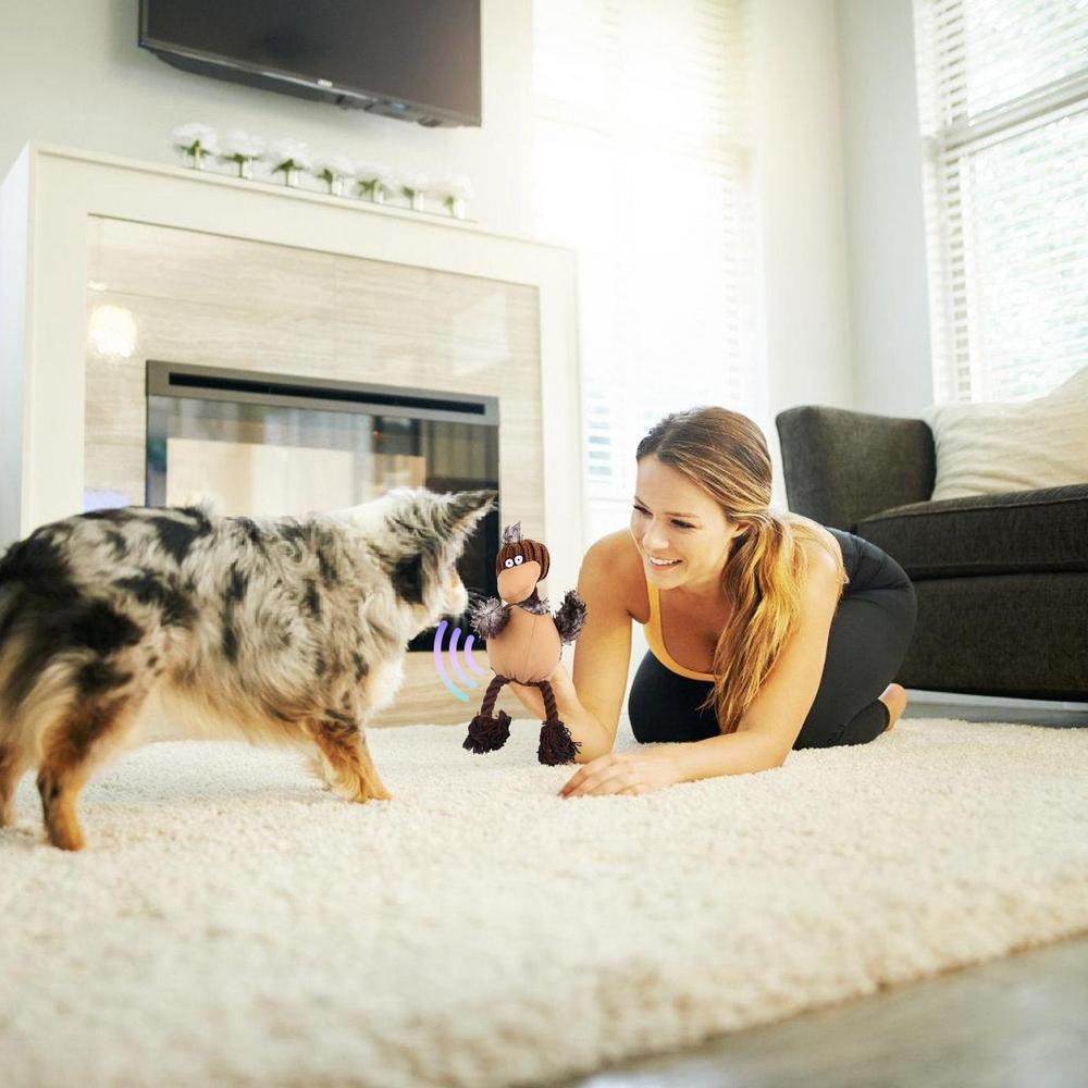 Squeaky Plush Dog Toys