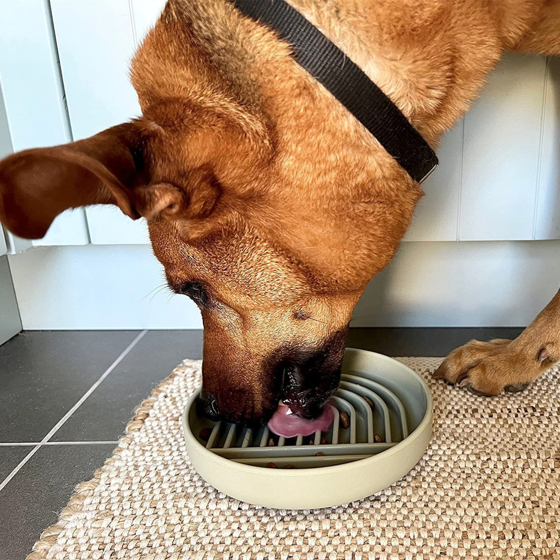 Pet Cat And Dog Slow Feeding Bowl