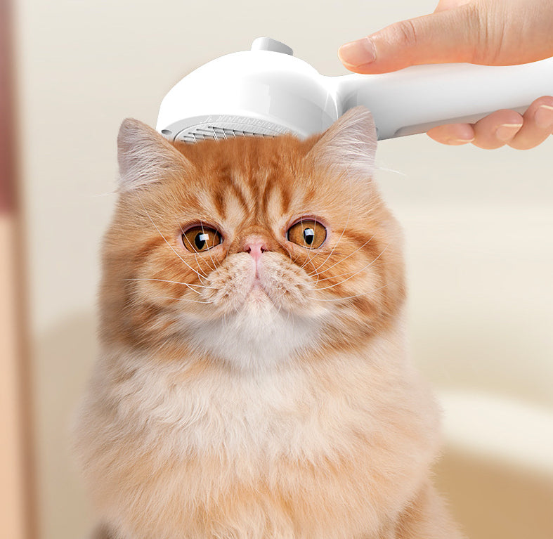 Pet Self Cleaning Pets Hair Remover Brush