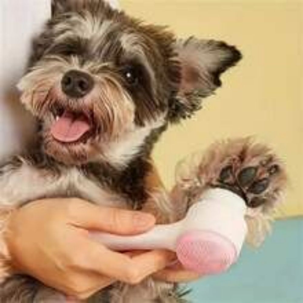 Easy Nylon Pet Paw Brush
