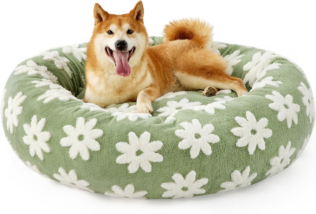 Leisure Cat Beds For Indoor Cats