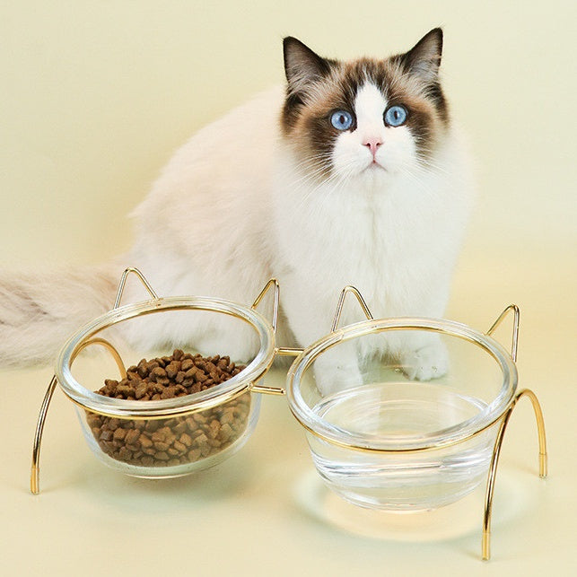 Glass Pet Food Water Feeder
