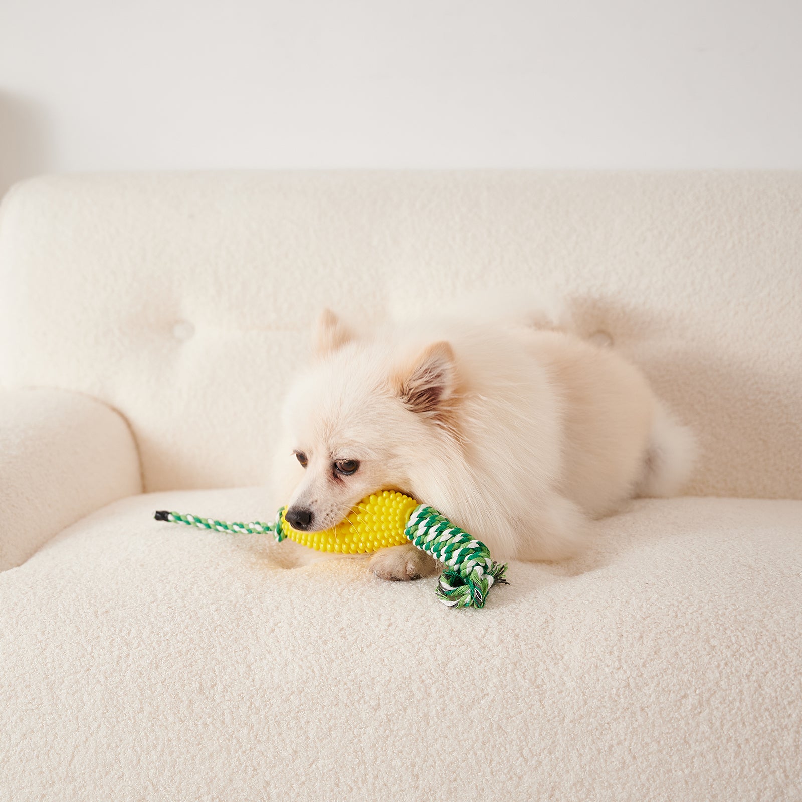 Puppy Toothbrush Interactive Corn Toys