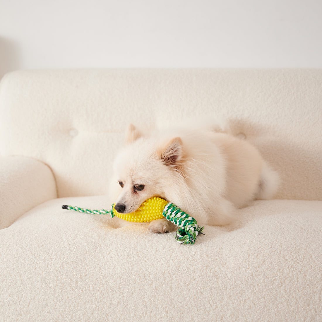 Puppy Toothbrush Interactive Corn Toys