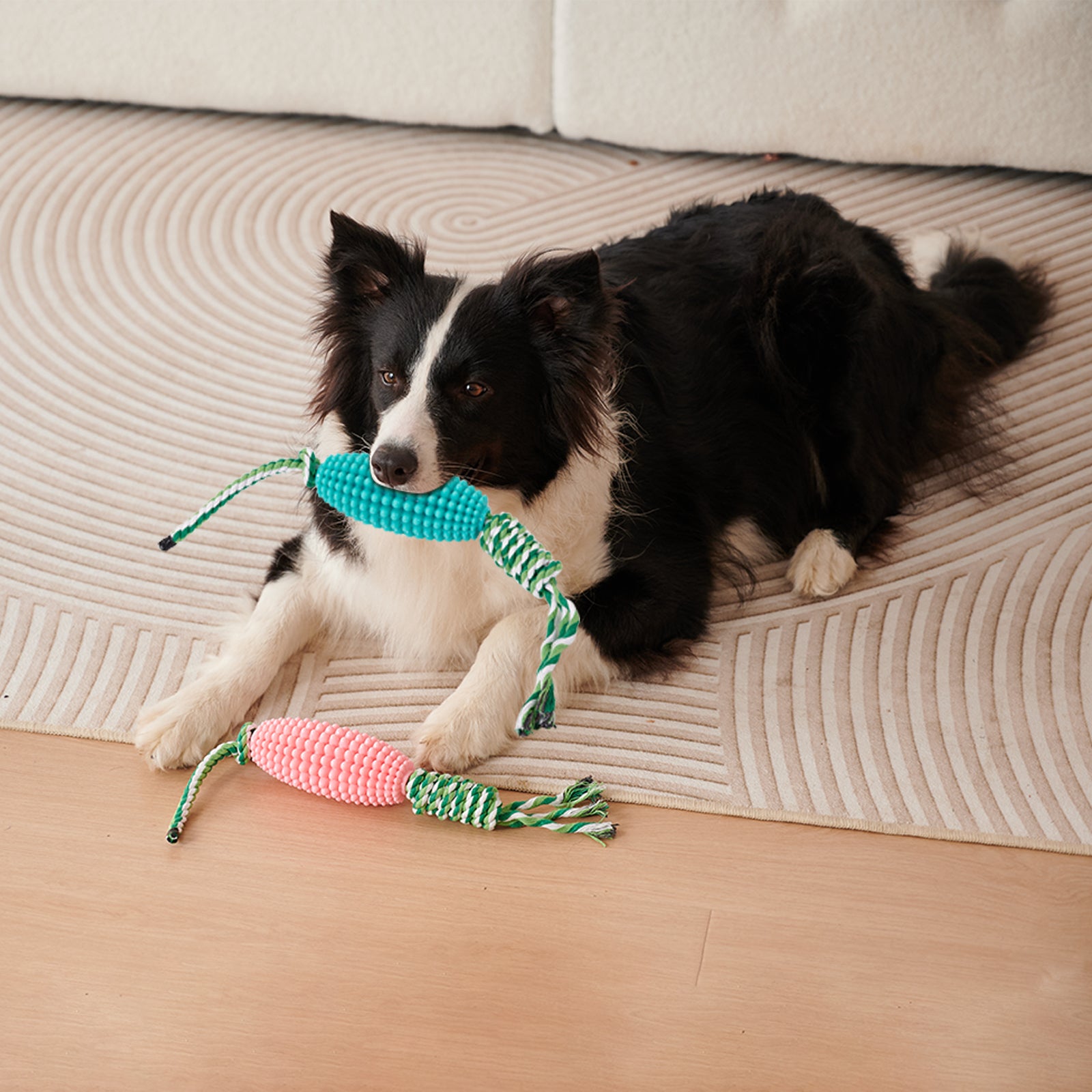 Puppy Toothbrush Interactive Corn Toys