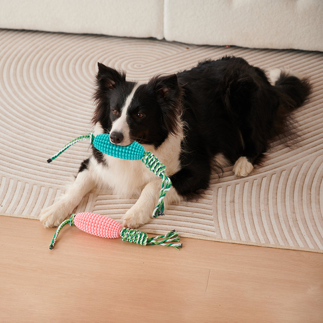 Puppy Toothbrush Interactive Corn Toys