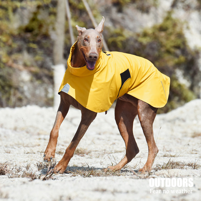 Pet Shell Windproof Jacket