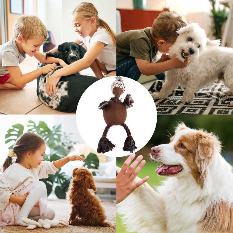 Squeaky Plush Dog Toys