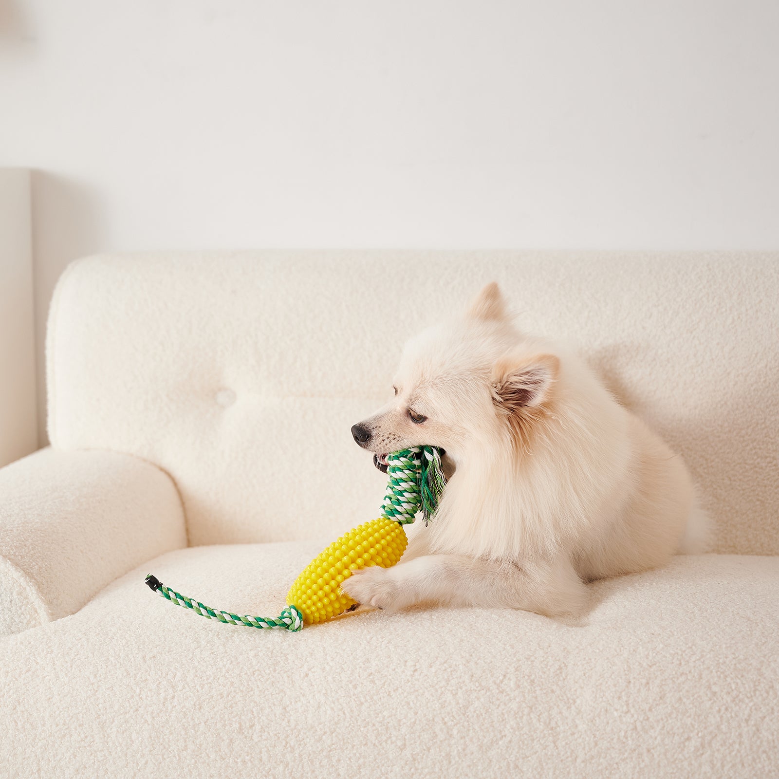 Puppy Toothbrush Interactive Corn Toys