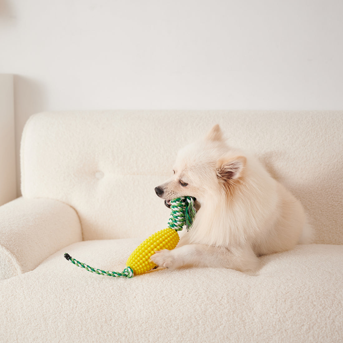 Puppy Toothbrush Interactive Corn Toys
