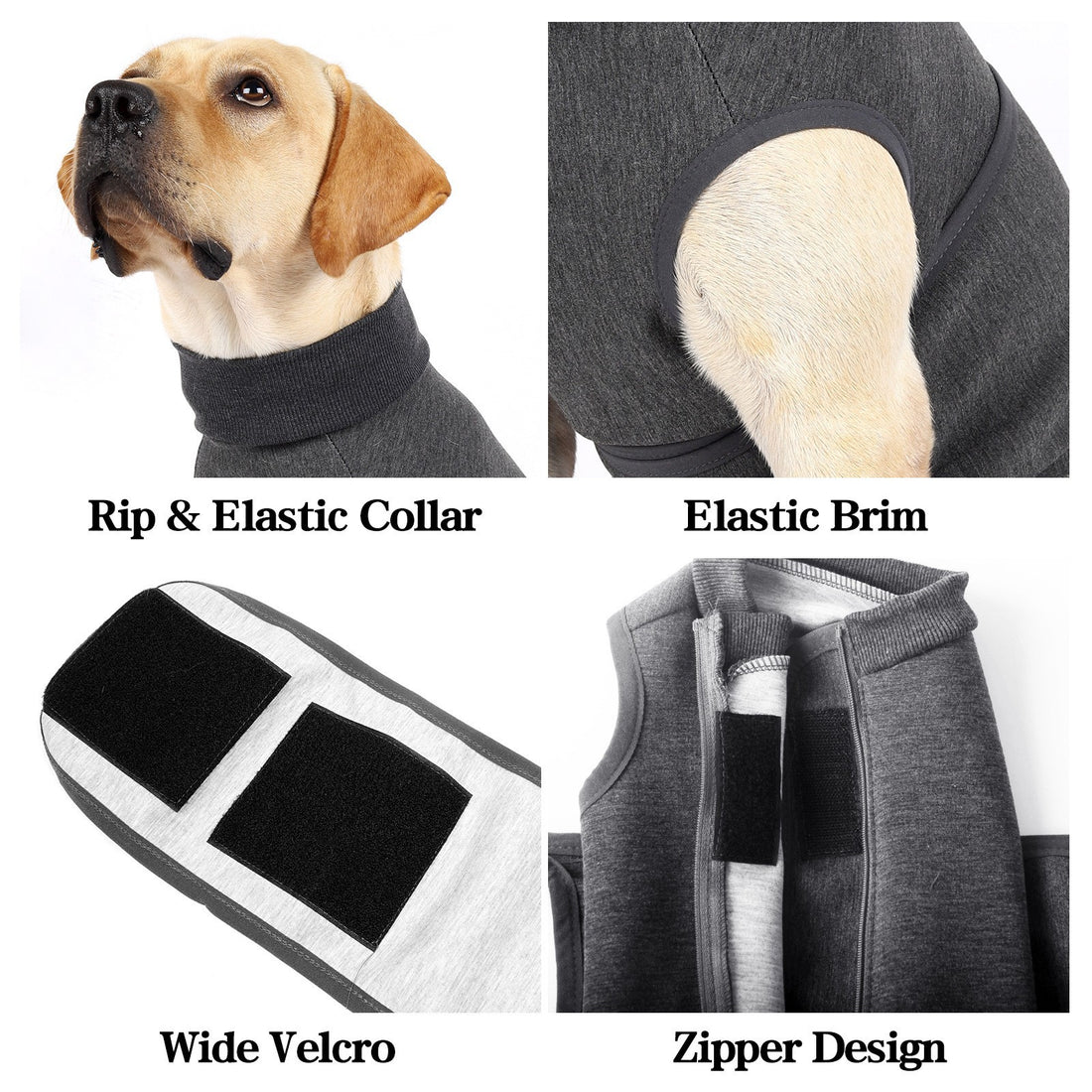 Pet Polyester Emotional Cotton Double Jacket