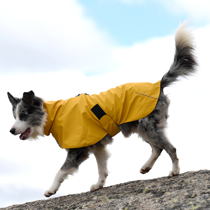 Pet Shell Windproof Jacket