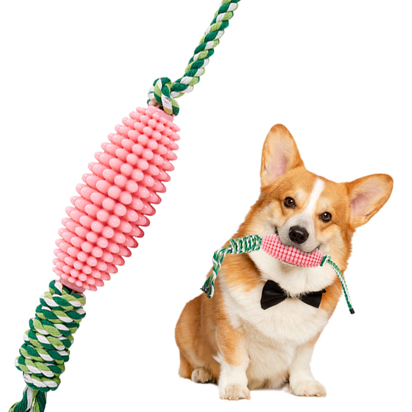 Puppy Toothbrush Interactive Corn Toys
