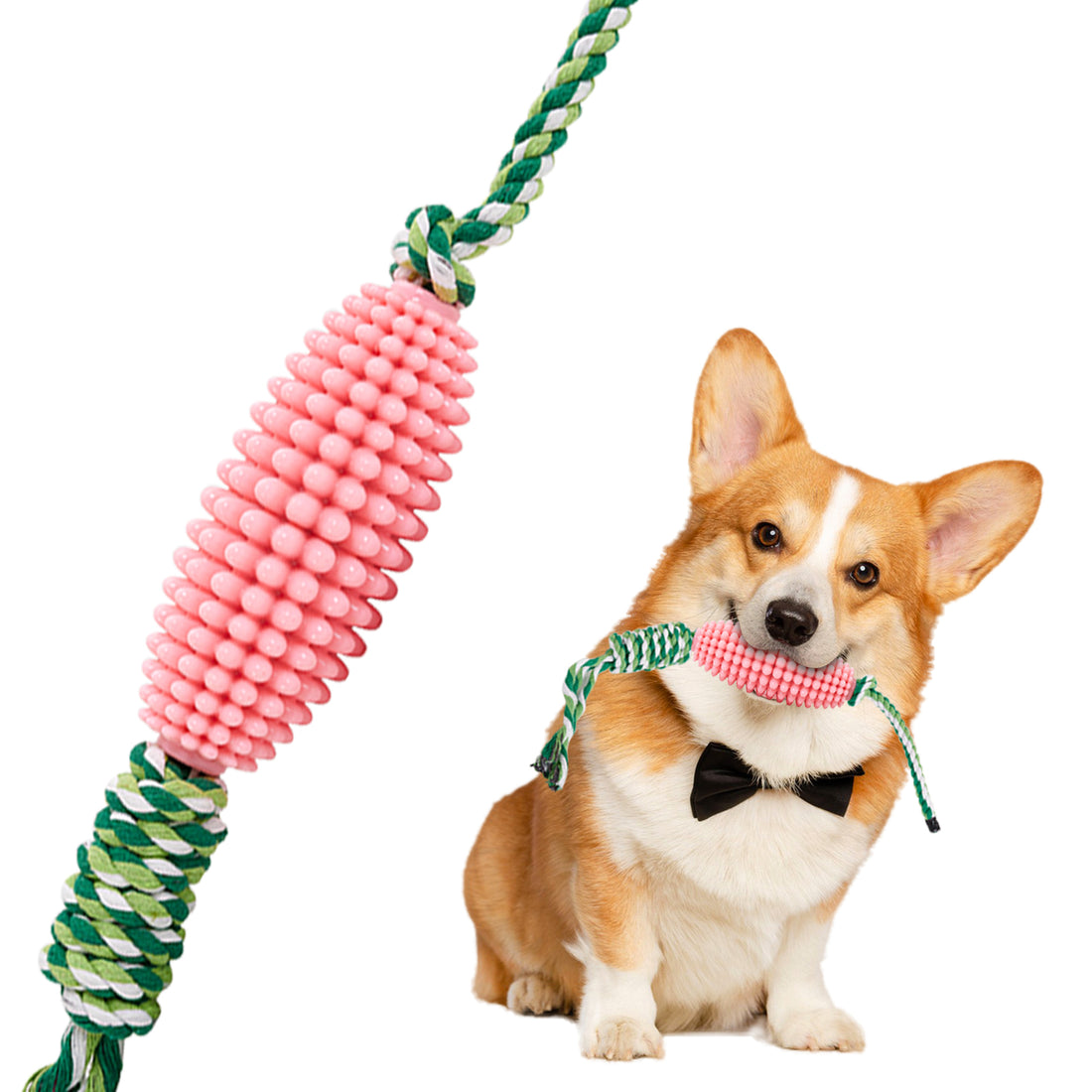 Puppy Toothbrush Interactive Corn Toys